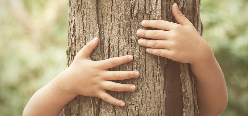 Ein Kind umarmt einen Baumstamm.