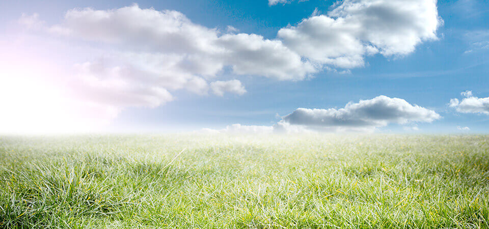 Idyllic meadow landscape with rising sun and white clouds in blue sky 