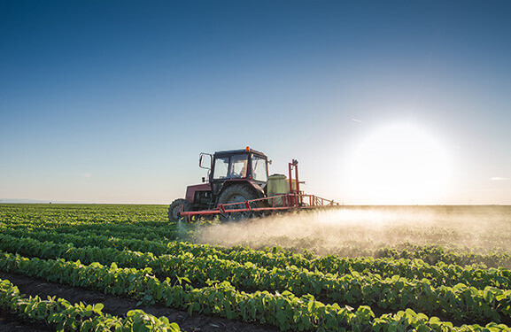 Traktor fährt im Sonnenaufgang über ein grünes Feld und versprüht Pflanzenschutzmittel