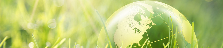 Sunbeams shine down on a small glass globe which is shown in close-up amongst tall grass. 