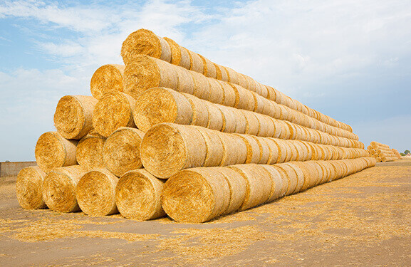 A row of stacked hay bales.