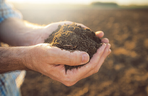 Close-up of hands holding earth, with an uncultivated field in the background  